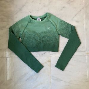 Gymshark Adapt Ombre Seamless Long Sleeve Crop Top - Green/Light Green Sz Small